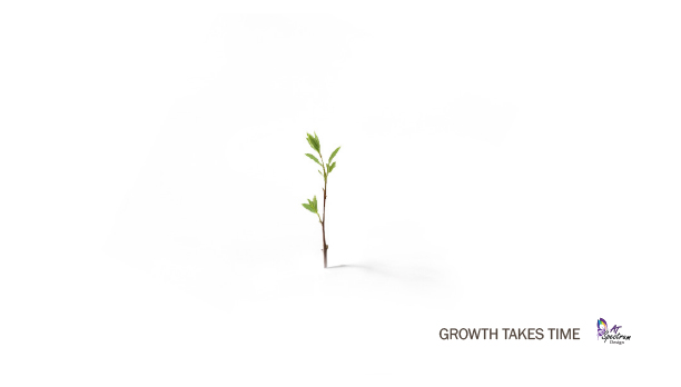 Growth takes time visual